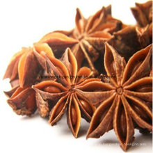 Chinese Factory Wholesale Price for Star Anise